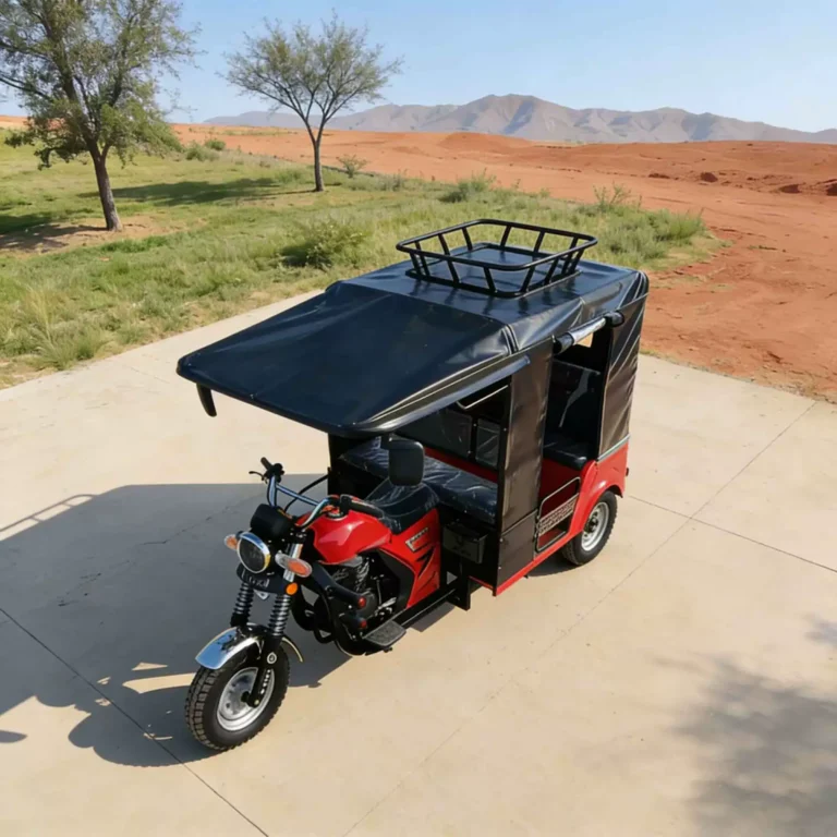 WeldSen Gasoline With Canopy Passenger Tuk-Tuk for Africa