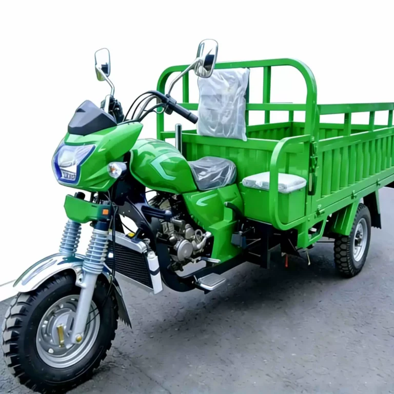 WeldSen Gasoline Heavy-Duty Cargo Tricycle for Egypt