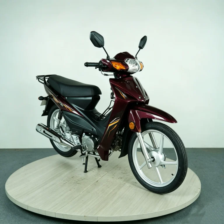 WeldSen Gasoline Step-Through Motorcycle