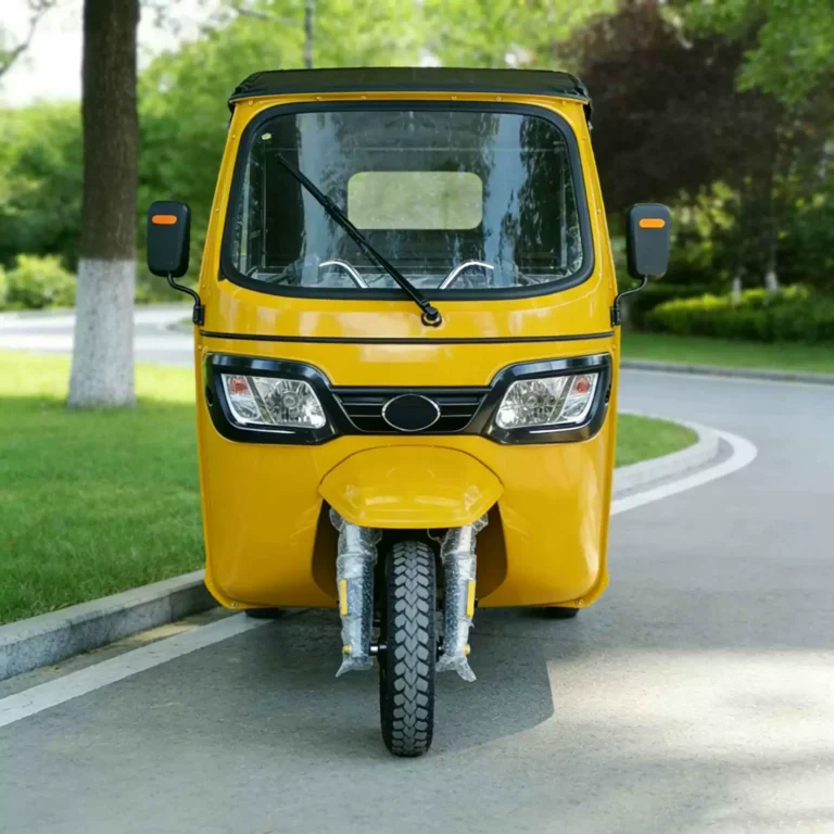WeldSen Gasoline With Canopy Passenger Tuk-Tuk for Africa