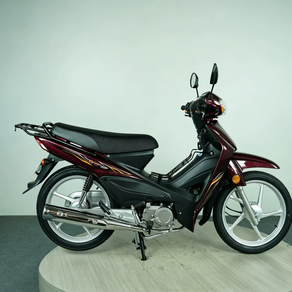 WeldSen Gasoline Fuel-Efficient Step-Through Motorcycle for Africa & Southeast Asia