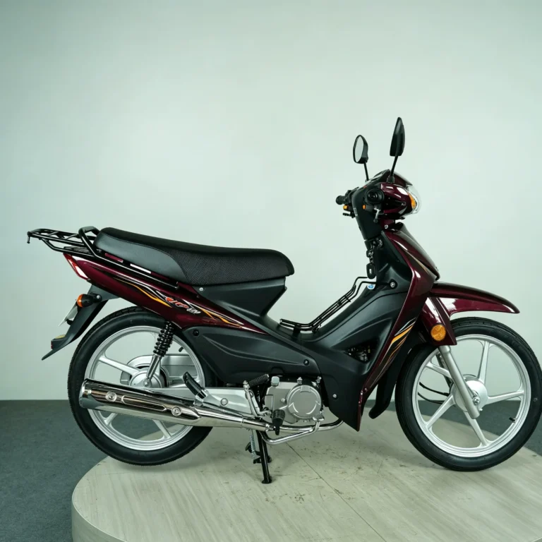 WeldSen Gasoline Fuel-Efficient Step-Through Motorcycle for Africa & Southeast Asia