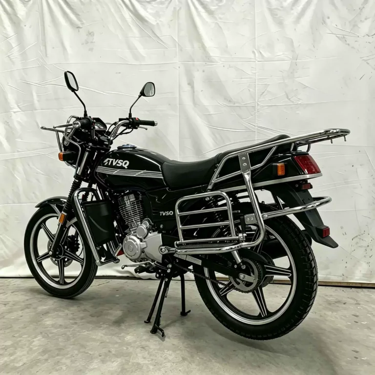WeldSen Gasoline Fuel-Efficient Two-Wheel Motorcycle
