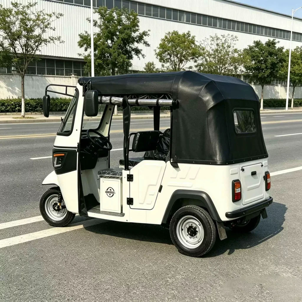 WeldSen Gasoline Enclosed Cabin Semi-Enclosed Passenger Tuk-Tuk for Africa