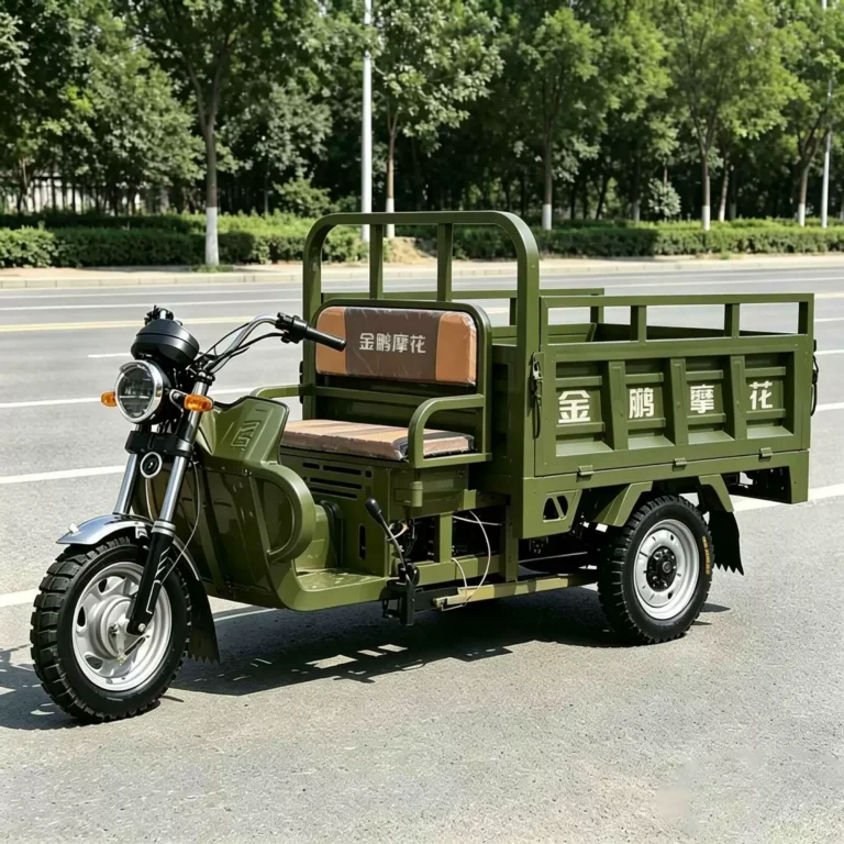 WeldSen Gasoline High-Power Cargo Tricycle for Africa