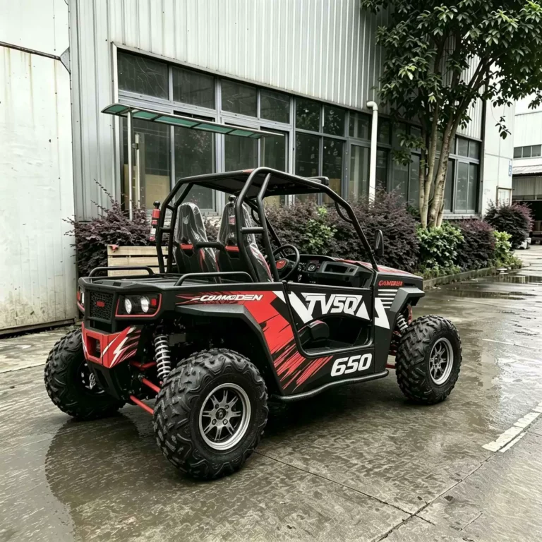 WeldSen Gasoline Beach Buggy ATV