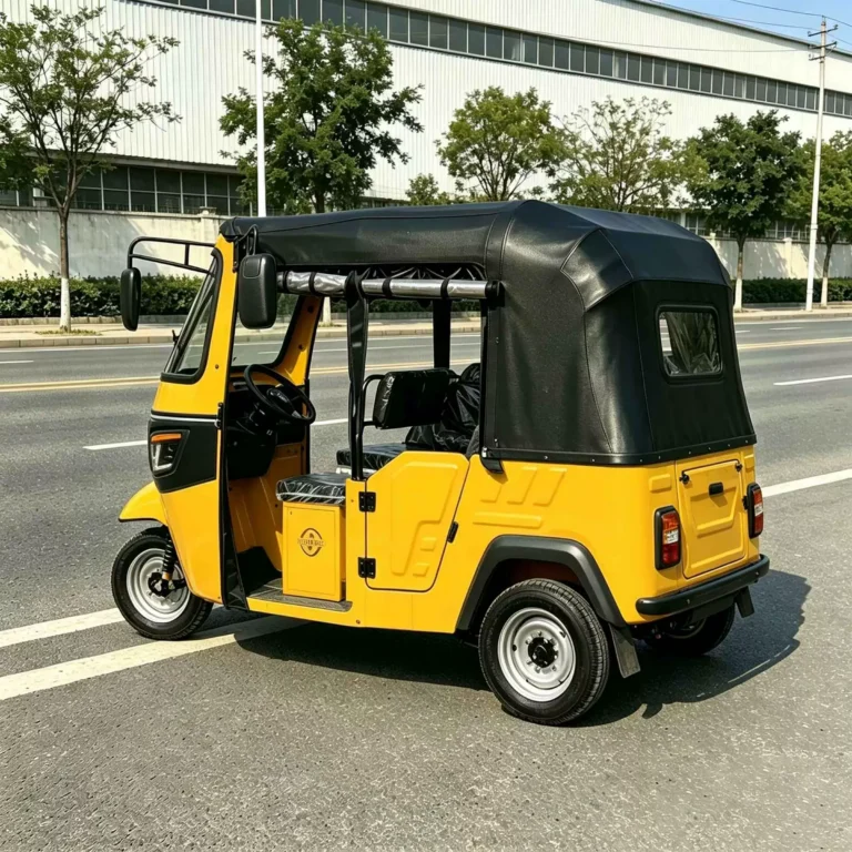 WeldSen Gasoline High-Power Fuel-Efficient Passenger Tuk-Tuk for Africa