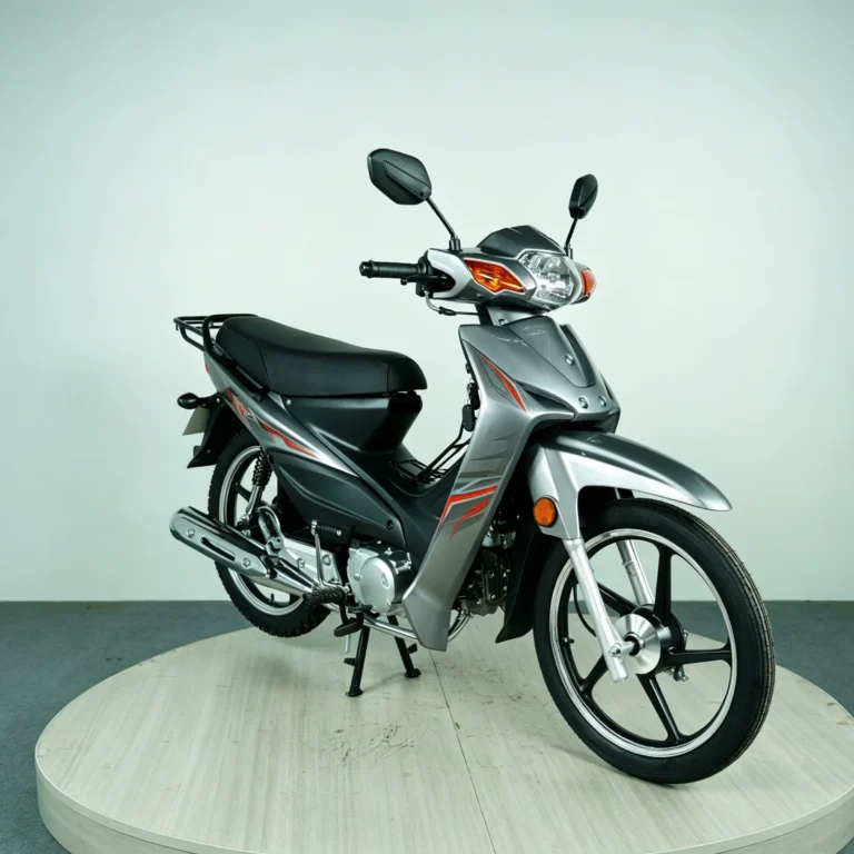 WeldSen Gasoline Fuel-Efficient Step-Through Motorcycle