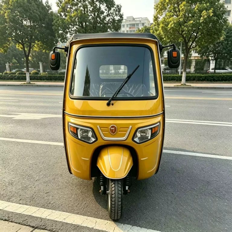 WeldSen Gasoline With Canopy Passenger Tuk-Tuk for Africa