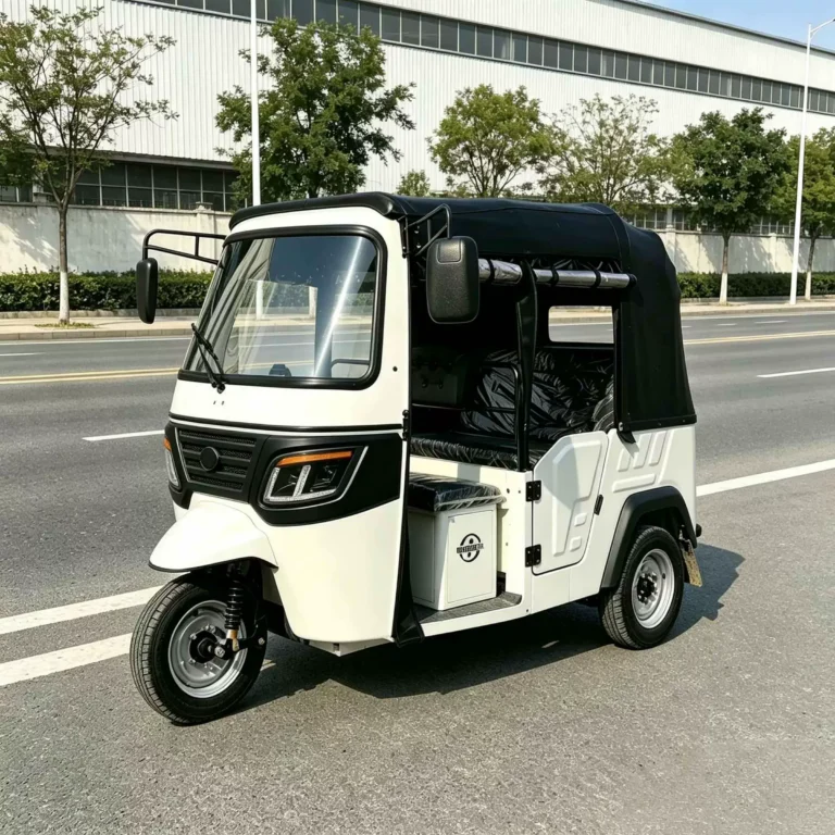 WeldSen Gasoline With Canopy Passenger Tuk-Tuk