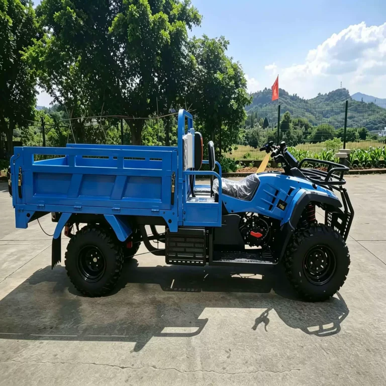WeldSen Gasoline Reinforced Body Fuel-Efficient Beach Buggy ATV