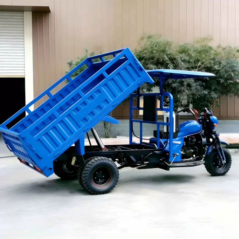 WeldSen Gasoline Heavy-Duty Off-Road Agricultural Cargo Tricycle for Africa