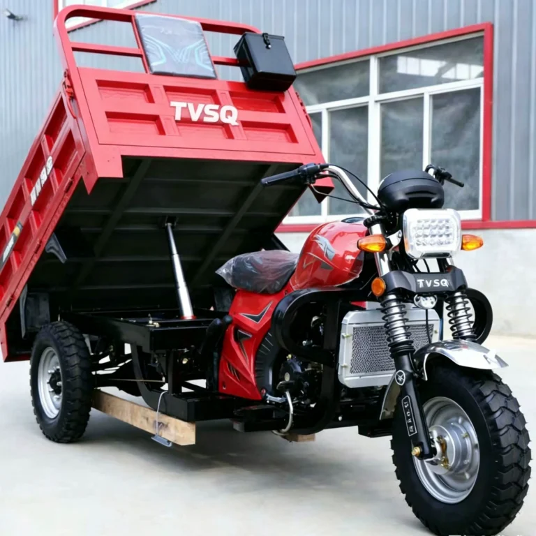 WeldSen Gasoline Fuel-Efficient Agricultural Cargo Tricycle for Southeast Asia