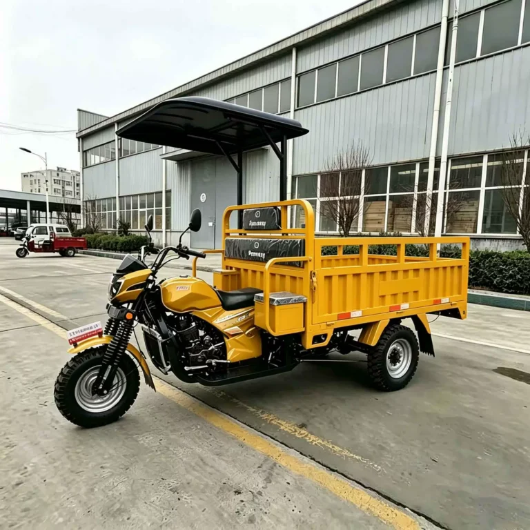WeldSen Gasoline Agricultural Cargo Tricycle