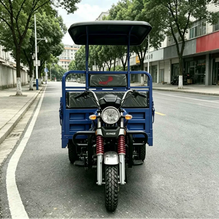 WeldSen Gasoline With Canopy Heavy-Duty Agricultural Cargo Tricycle for Africa