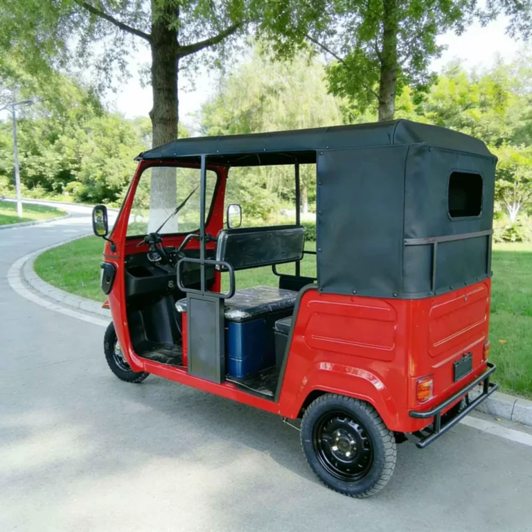 WeldSen Gasoline With Canopy Passenger Tuk-Tuk