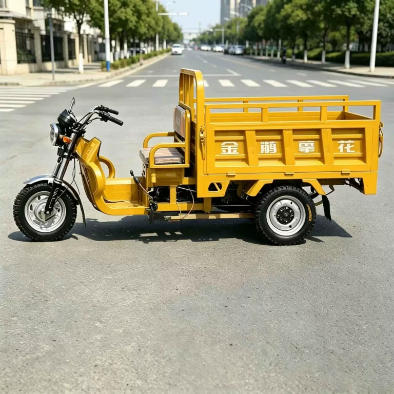 WeldSen Gasoline Heavy-Duty Passenger Tricycle for Africa