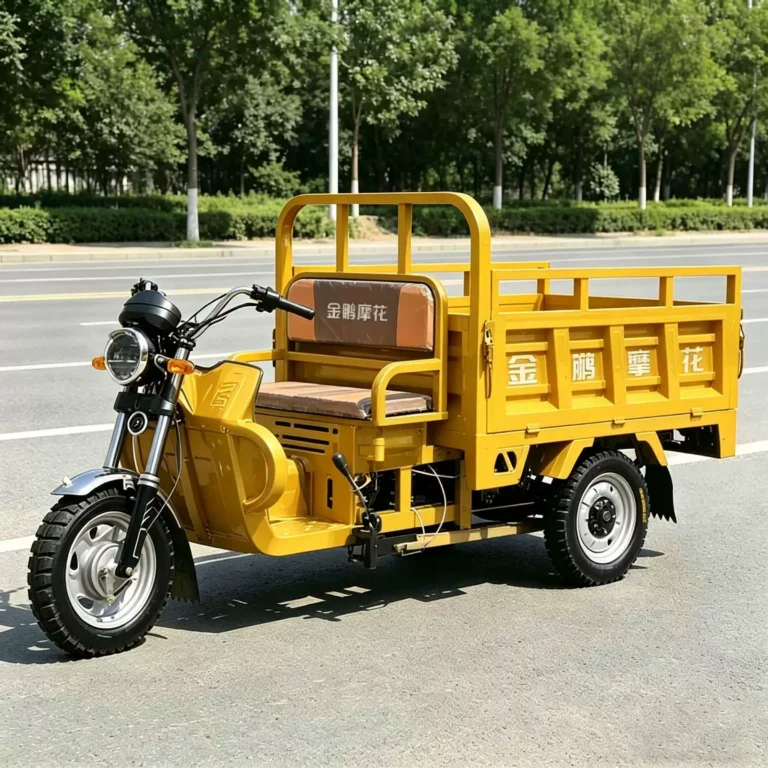 WeldSen Gasoline Heavy-Duty Cargo Tricycle for Africa