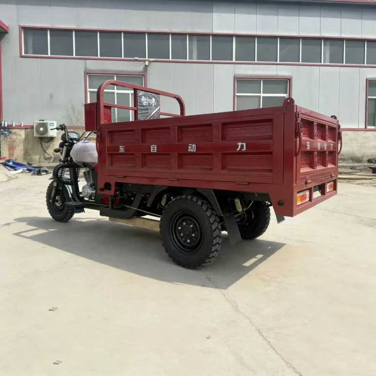 WeldSen Gasoline Reinforced Body Cargo Tricycle for Southeast Asia & Africa