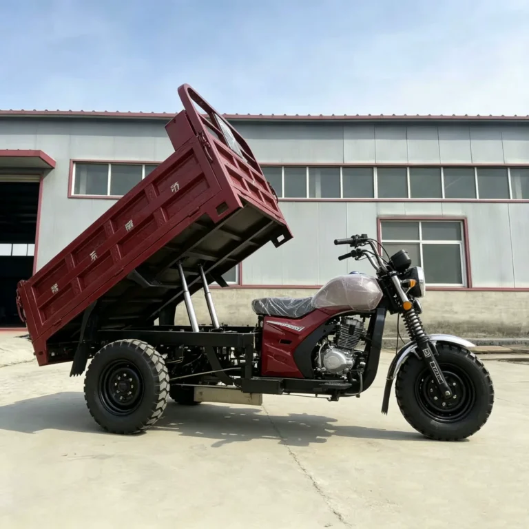 WeldSen Gasoline Self-Dumping Agricultural Cargo Tricycle for Southeast Asia