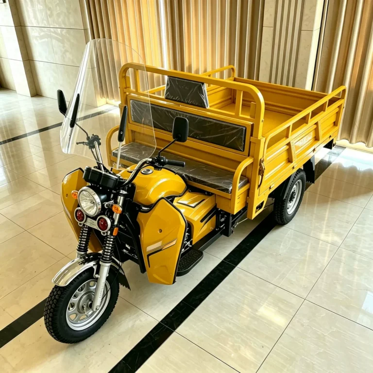 WeldSen Gasoline Heavy-Duty Delivery Agricultural Cargo Tricycle for Africa
