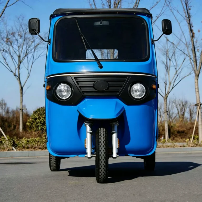 WeldSen Gasoline Fuel-Efficient Dual-Row Seats Passenger Tuk-Tuk