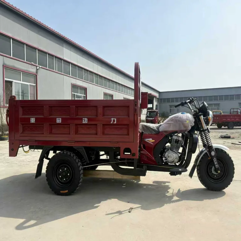 WeldSen Gasoline Reinforced Body Cargo Tricycle for Southeast Asia & Africa