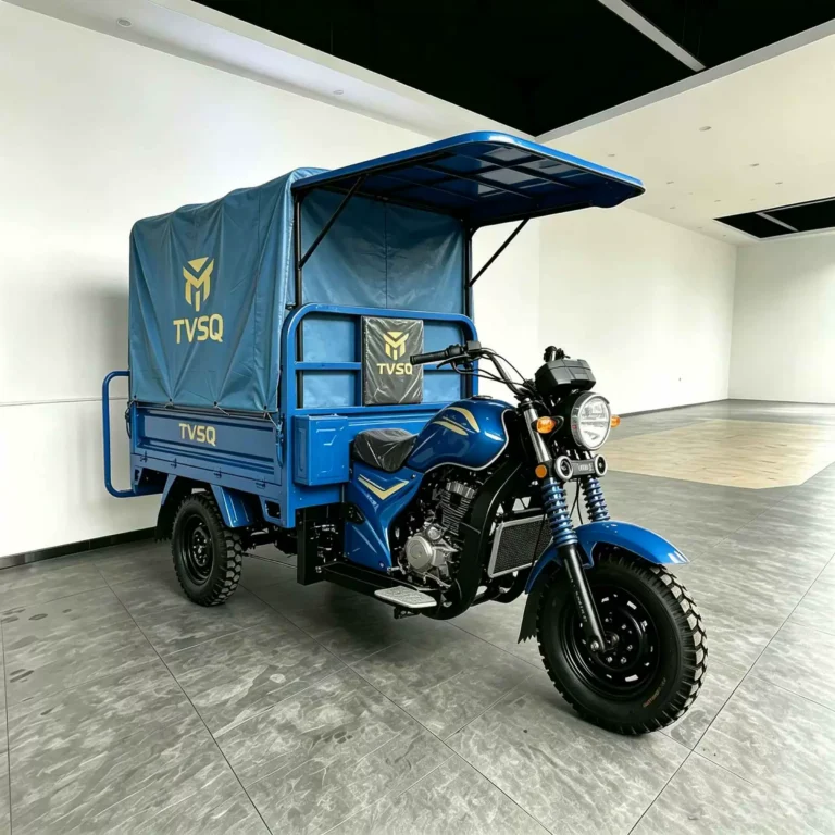 WeldSen Gasoline Heavy-Duty Off-Road Cargo Tricycle for Africa & Southeast Asia