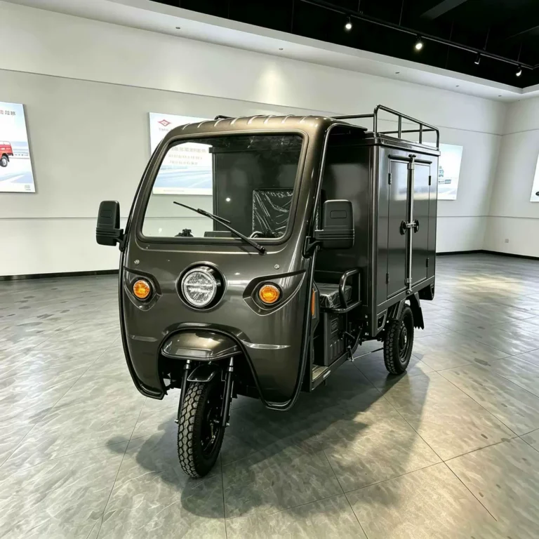 WeldSen Gasoline Heavy-Duty High-Power Cargo Tricycle for Africa