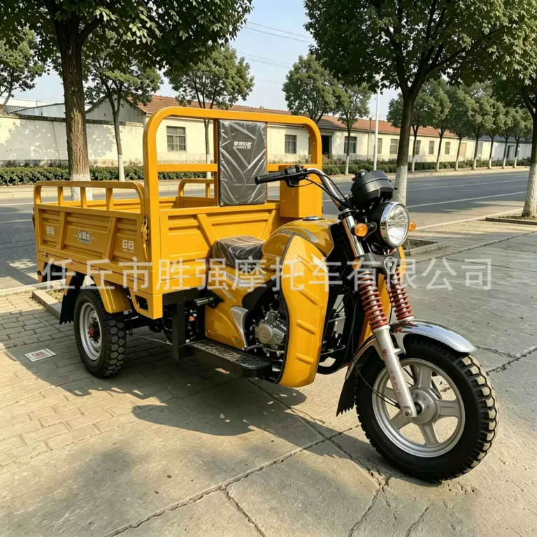 WeldSen Gasoline Heavy-Duty Delivery Agricultural Cargo Tricycle for Africa