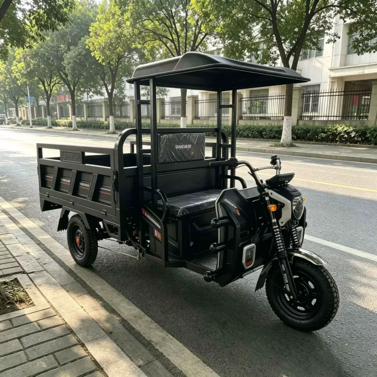 WeldSen Gasoline With Canopy Heavy-Duty Cargo Tricycle for Africa