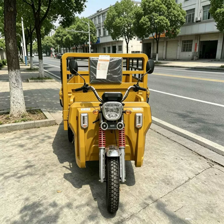 WeldSen Gasoline Cargo Tricycle for Africa