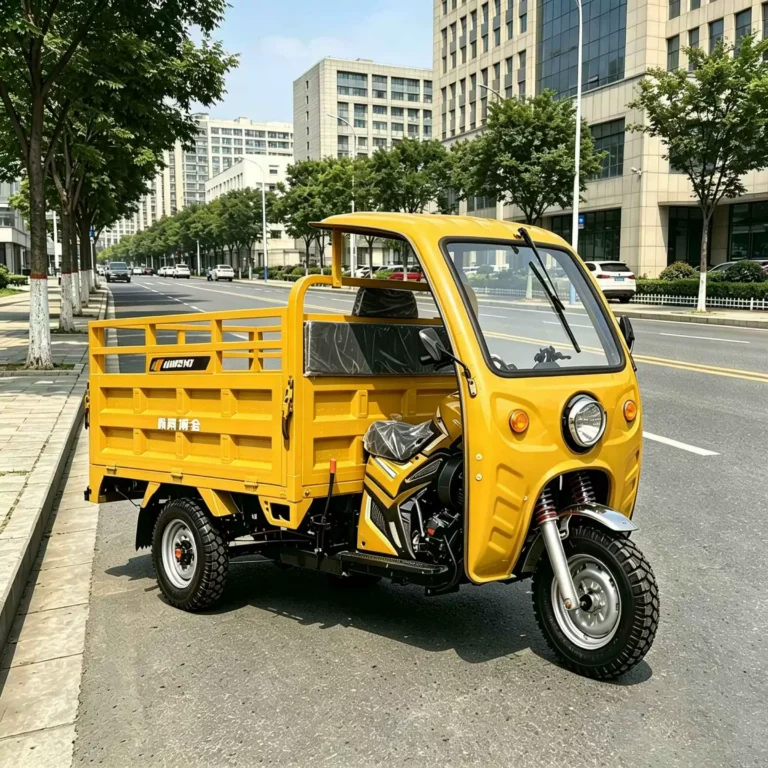WeldSen Gasoline With Canopy Fuel-Efficient Cargo Tricycle for Africa