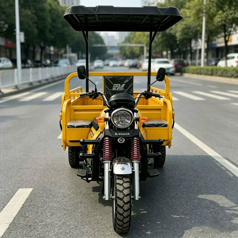 WeldSen Gasoline Heavy-Duty Cargo Tricycle for Africa