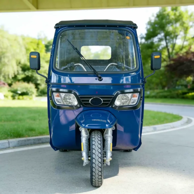 WeldSen Gasoline With Canopy Large Cargo Box Passenger Tuk-Tuk for Africa