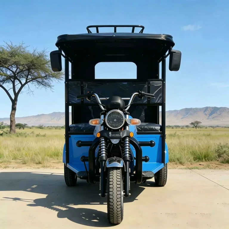 WeldSen Gasoline With Canopy Passenger Tuk-Tuk for Africa