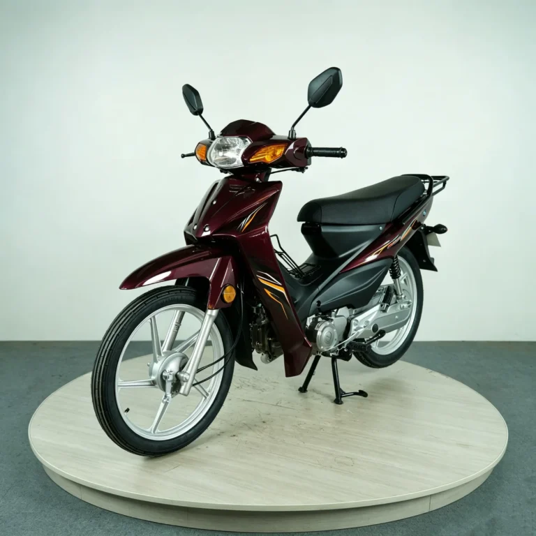 WeldSen Gasoline Fuel-Efficient Step-Through Motorcycle